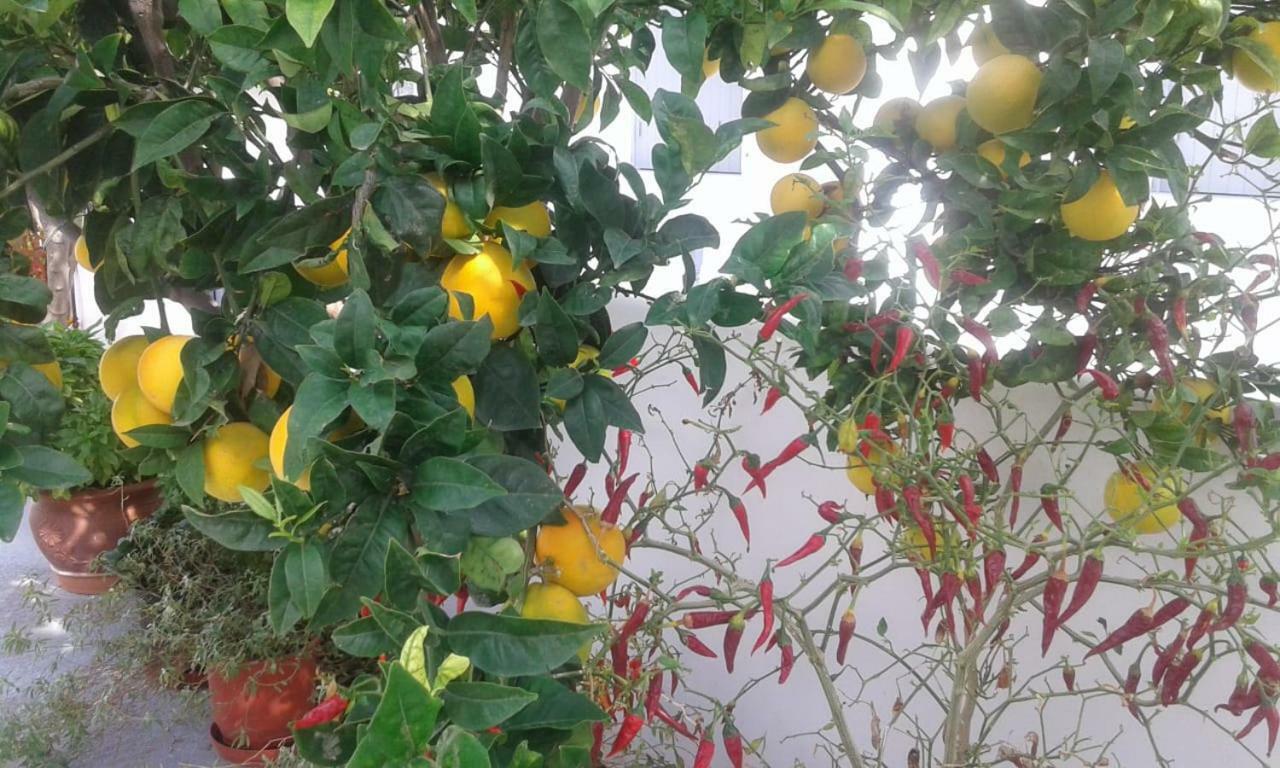 Апартаменти Matilda Milos - Cycladic Living Triovasalos Екстер'єр фото